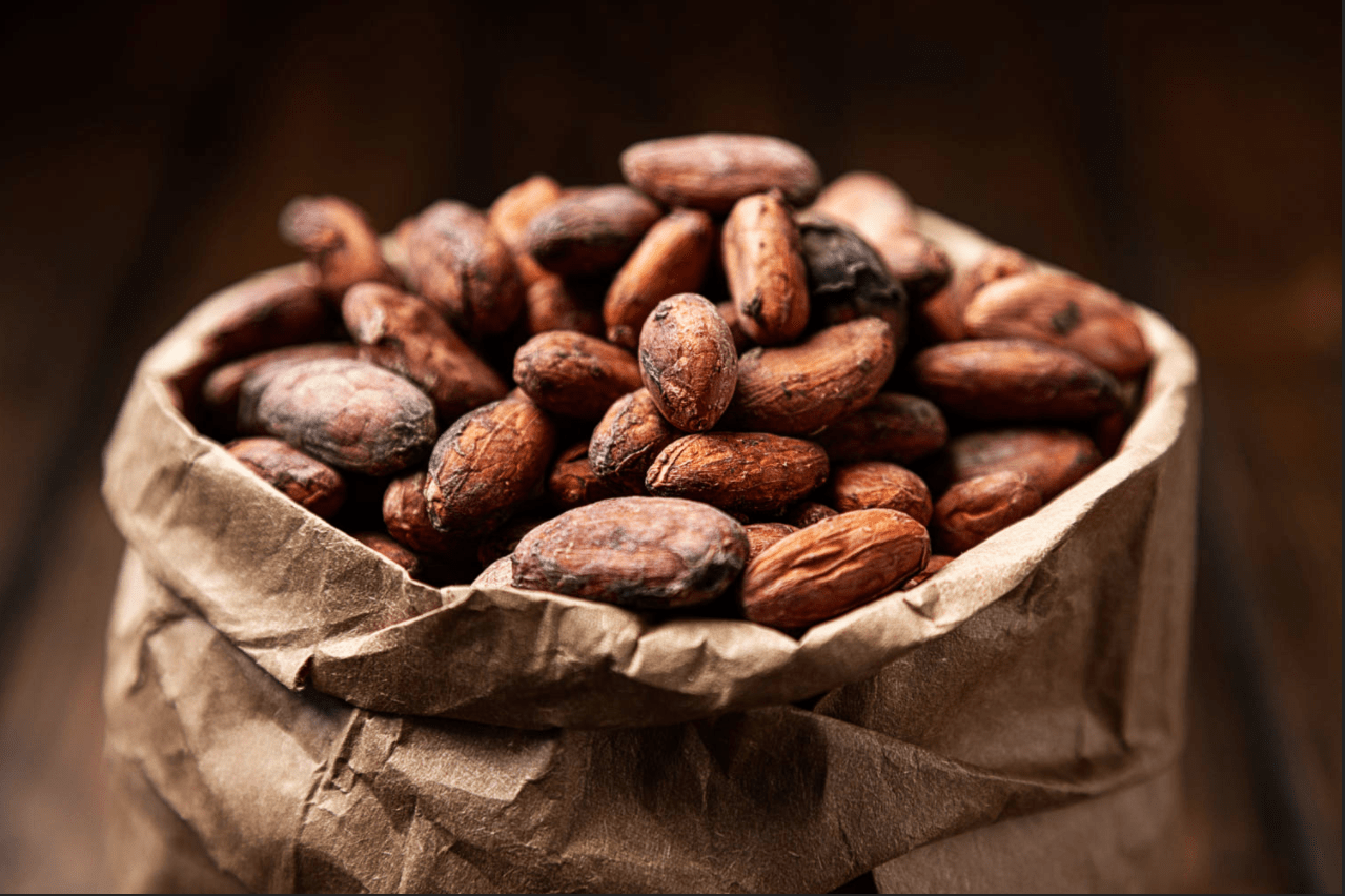 El Cacao el alimento de los Dioses EL MARCHANTE